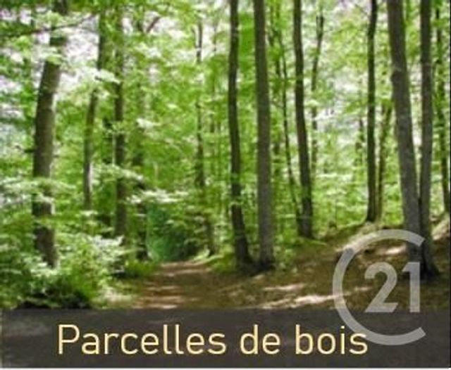 Afficher la photo en grand terrain à vendre - 13968.0 m2 - SERIFONTAINE - 60 - PICARDIE - Century 21 Notre Dame