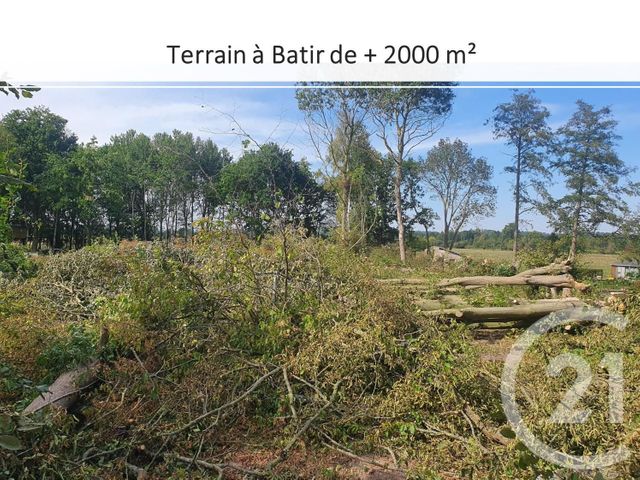 terrain à vendre - 2207.0 m2 - GOURNAY EN BRAY - 76 - HAUTE-NORMANDIE - Century 21 Notre Dame