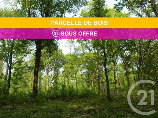terrain - SERIFONTAINE - 60