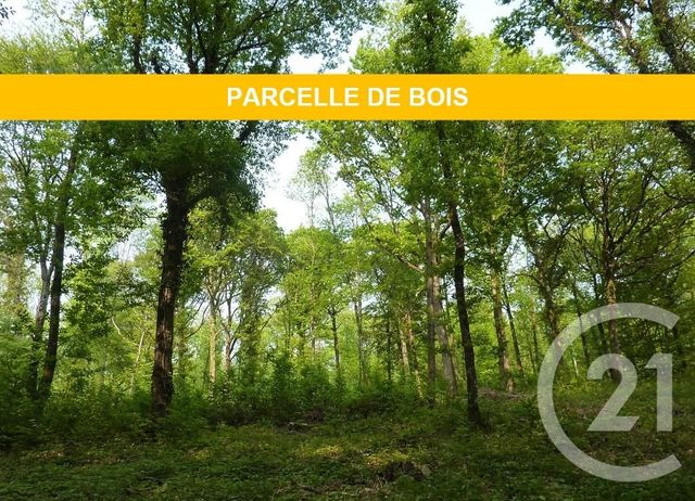 terrain à vendre - 6000.0 m2 - SERIFONTAINE - 60 - PICARDIE - Century 21 Notre Dame