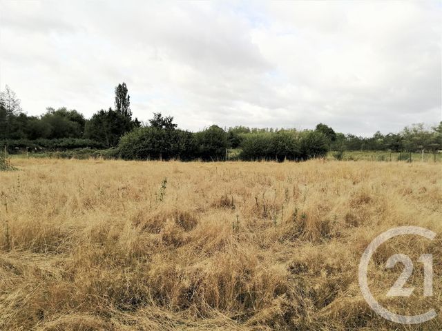 Afficher la photo en grand terrain à vendre - 1207.0 m2 - FORGES LES EAUX - 76 - HAUTE-NORMANDIE - Century 21 Notre Dame